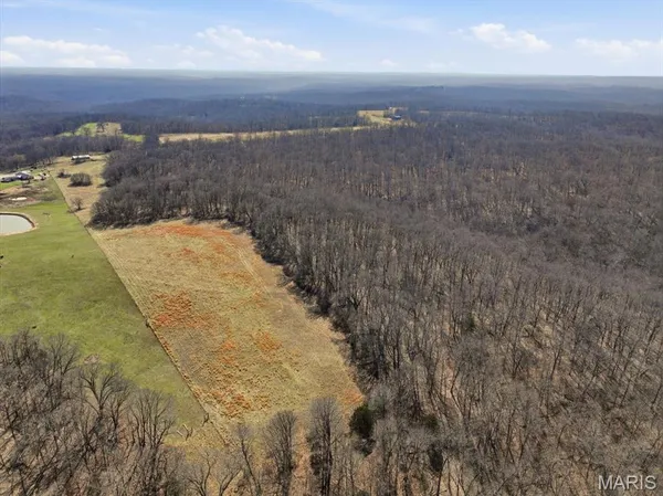 $305,000 | 86.6-acre Beechnut Road, Stover, MO 65078