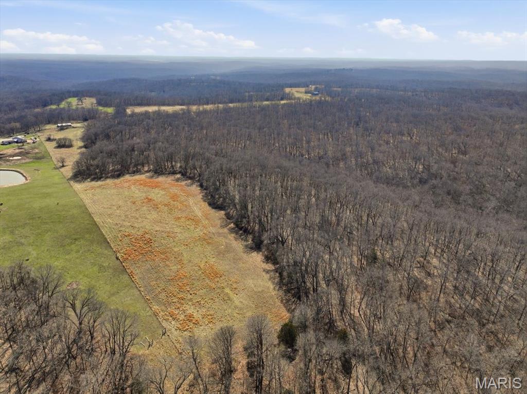 86.6-acre Beechnut Road Stover, MO 65078 - Photo 9 of 22