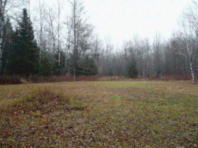 W3704 Sheep Ranch Road Phillips, WI 54555 - Photo 7 of 13 Gallery Image 7