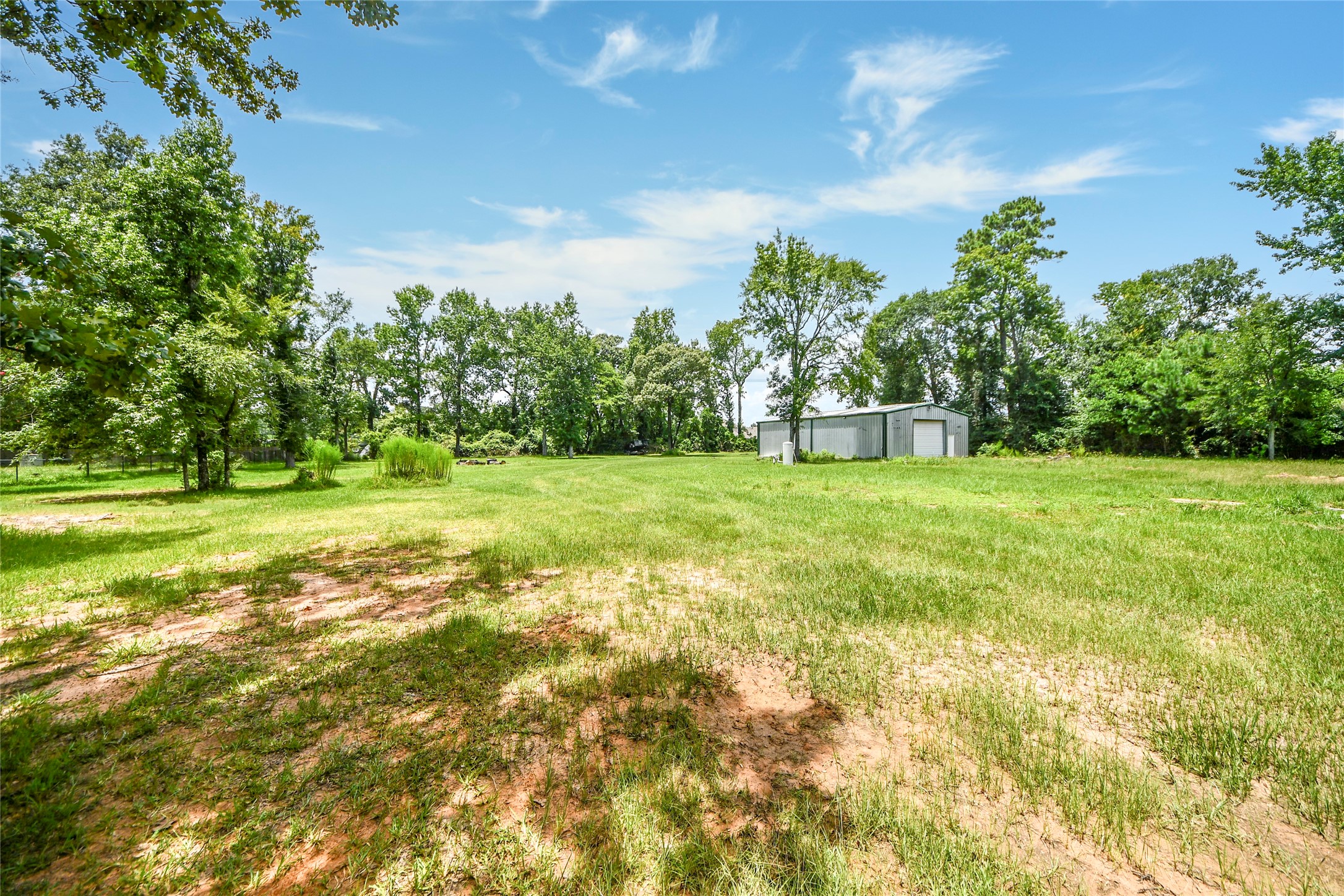 8330 Standard Road Magnolia, TX 77354 - Photo 11 of 13 a view of a trees with a big yard
