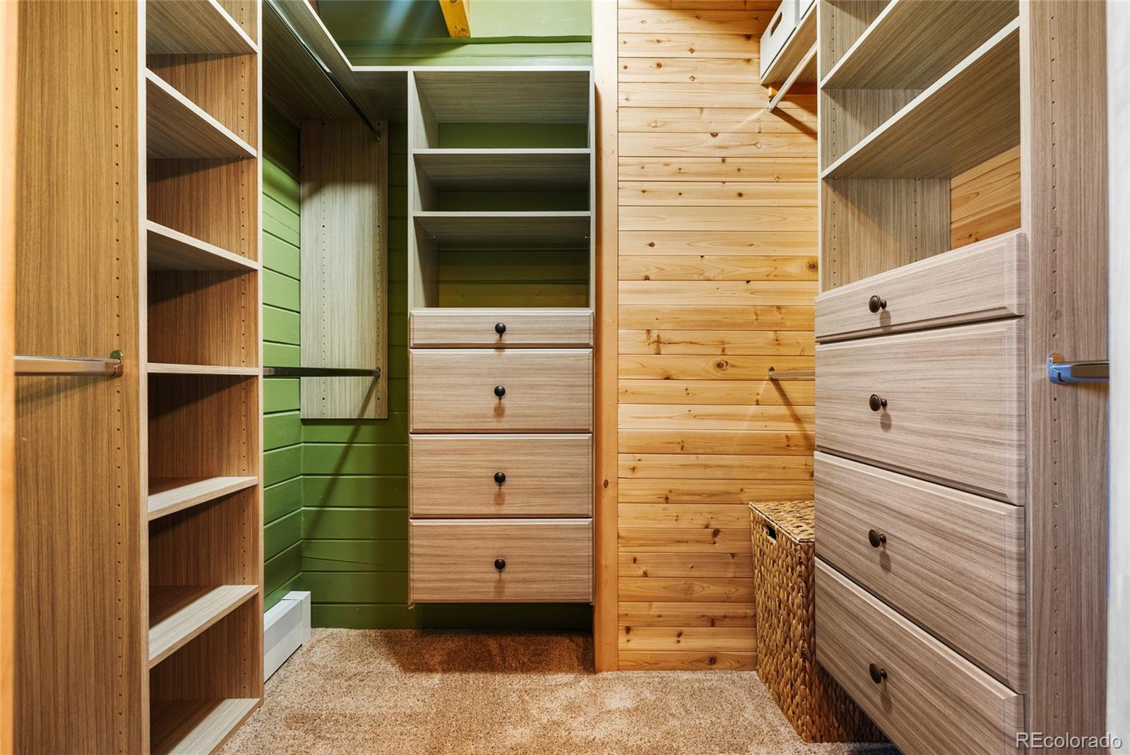 685 Jesse Lane Bailey, CO 80421 - Photo 23 of 50 a view of walk in closet