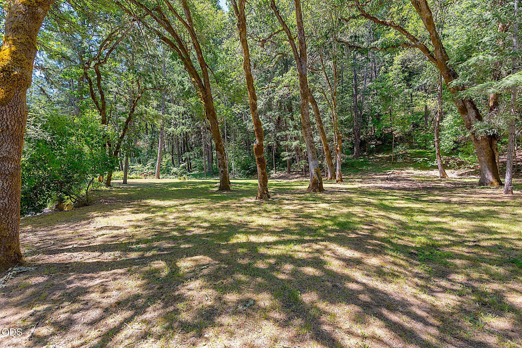 484 Round Prairie Road Wilderville, OR 97543 - Photo 56 of 77