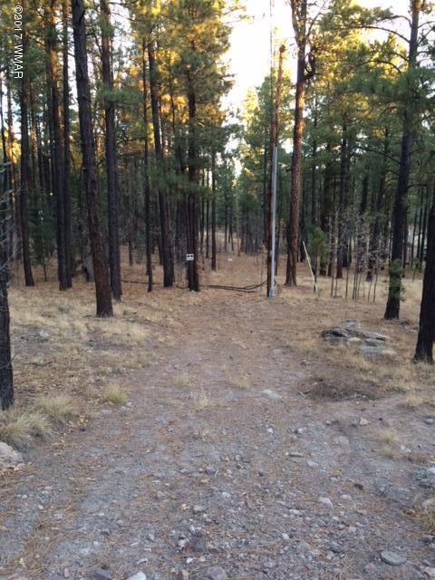 Alpine Alpine Country Club, Unit 20 Alpine, AZ 85920 - Photo 3 of 3