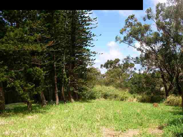 22 West Kuiaha Road Haiku, HI 96708 - Photo 21 of 23 a view of a garden