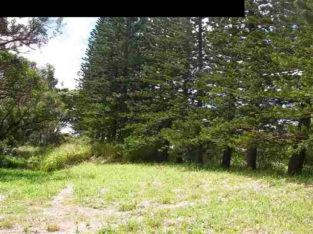 22 West Kuiaha Road Haiku, HI 96708 - Photo 22 of 23 a view of outdoor space and yard