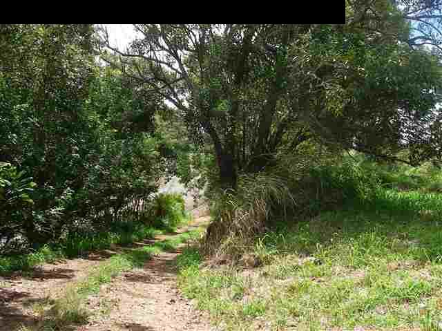 22 West Kuiaha Road Haiku, HI 96708 - Photo 23 of 23 a view of a yard