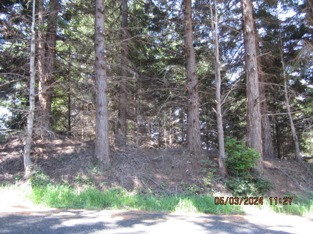 232 Nob Hill Road Shelter Cove, CA 95589 - Photo 2 of 20