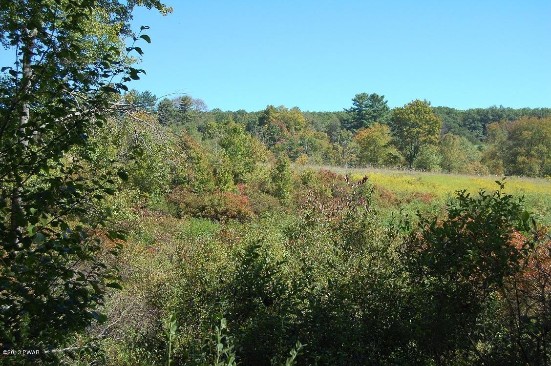 Case Rd Beach Lake Beach Lake, PA 18405 - Photo 11 of 12