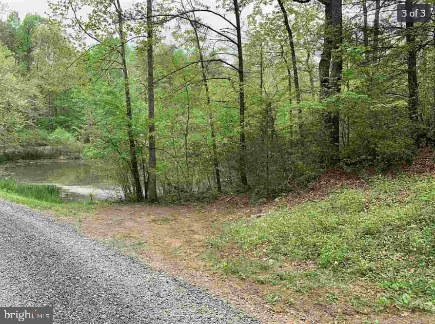 1255 Hanback Road Gordonsville, VA 22942 - Photo 38 of 39