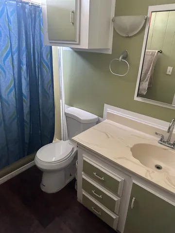 a bathroom with a sink and a toilet
