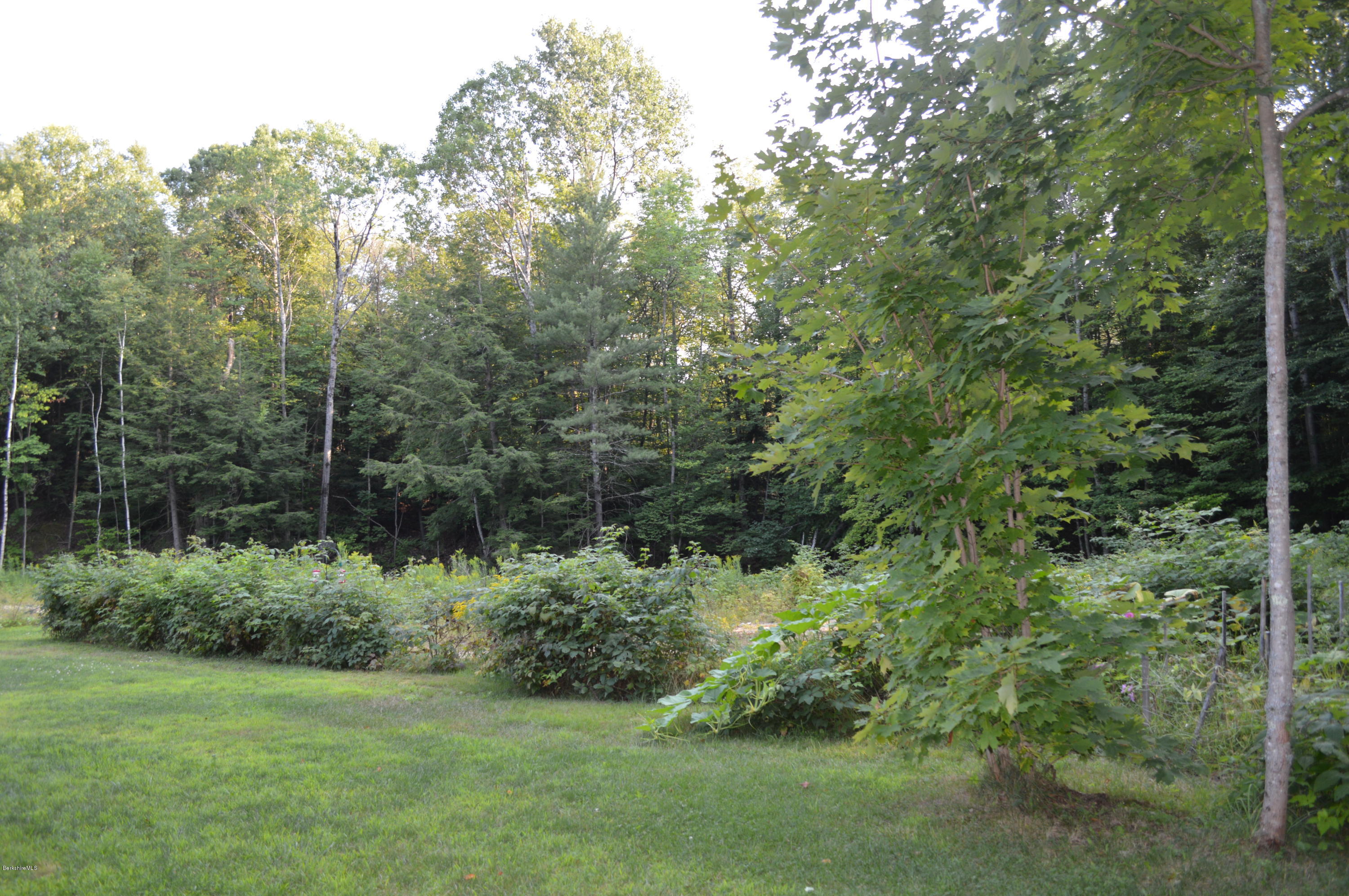 753 Upper Valley Road Washington, MA 01223 - Photo 11 of 32 a view of a lush green forest with trees in the background