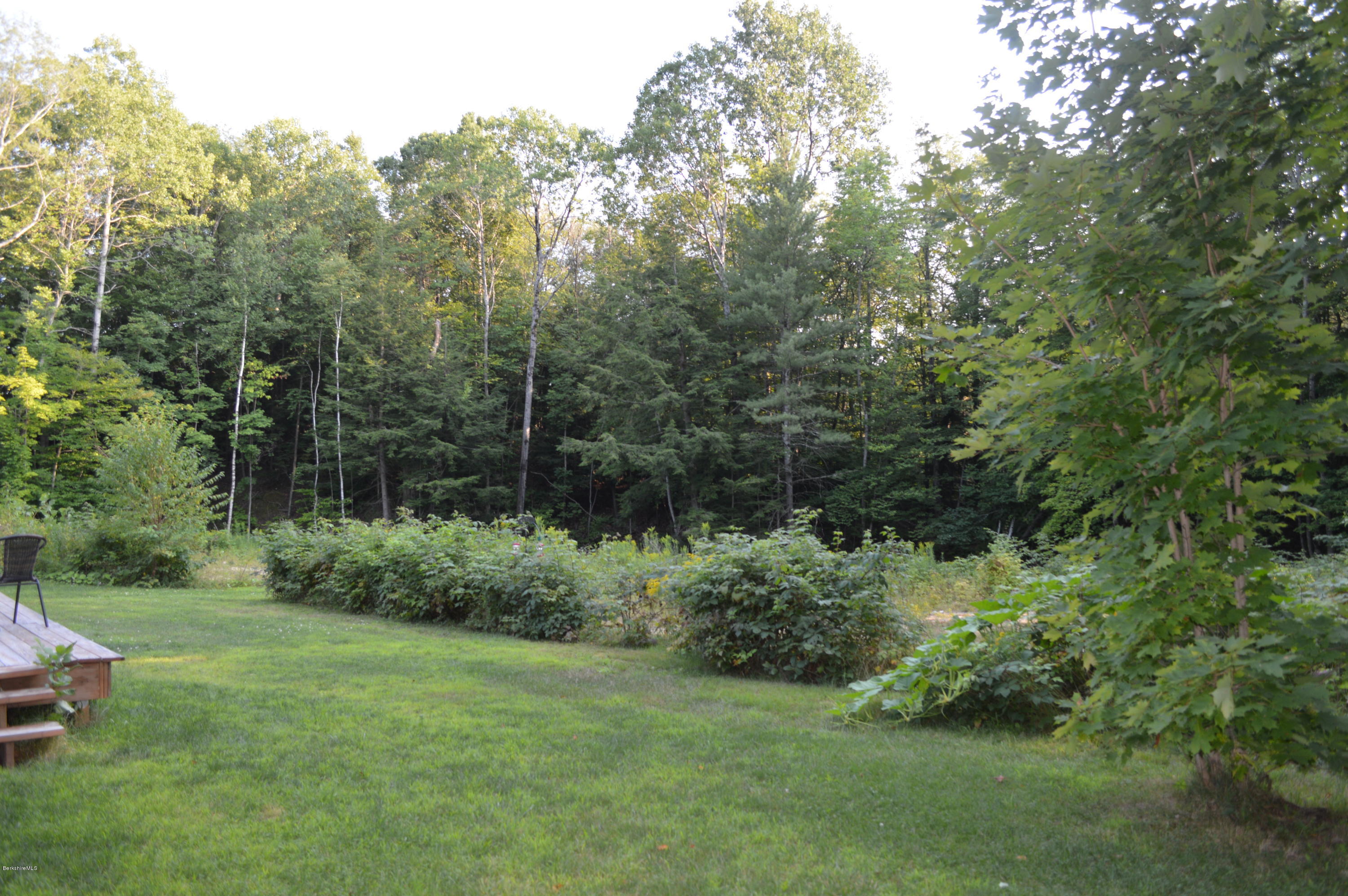 753 Upper Valley Road Washington, MA 01223 - Photo 24 of 32 a view of a lush green forest