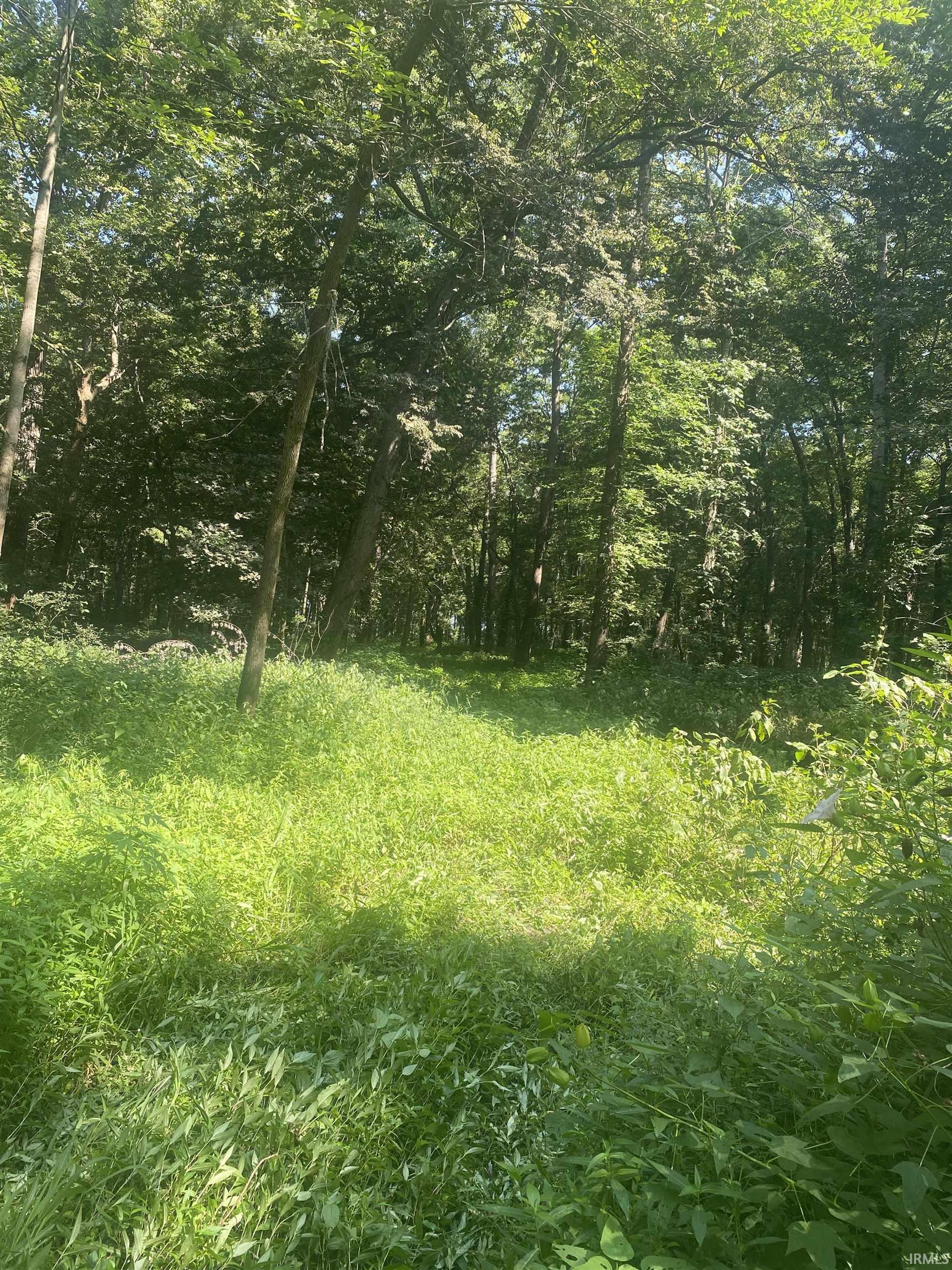 1850 South W Road Griffin, IN 47616 - Photo 11 of 36