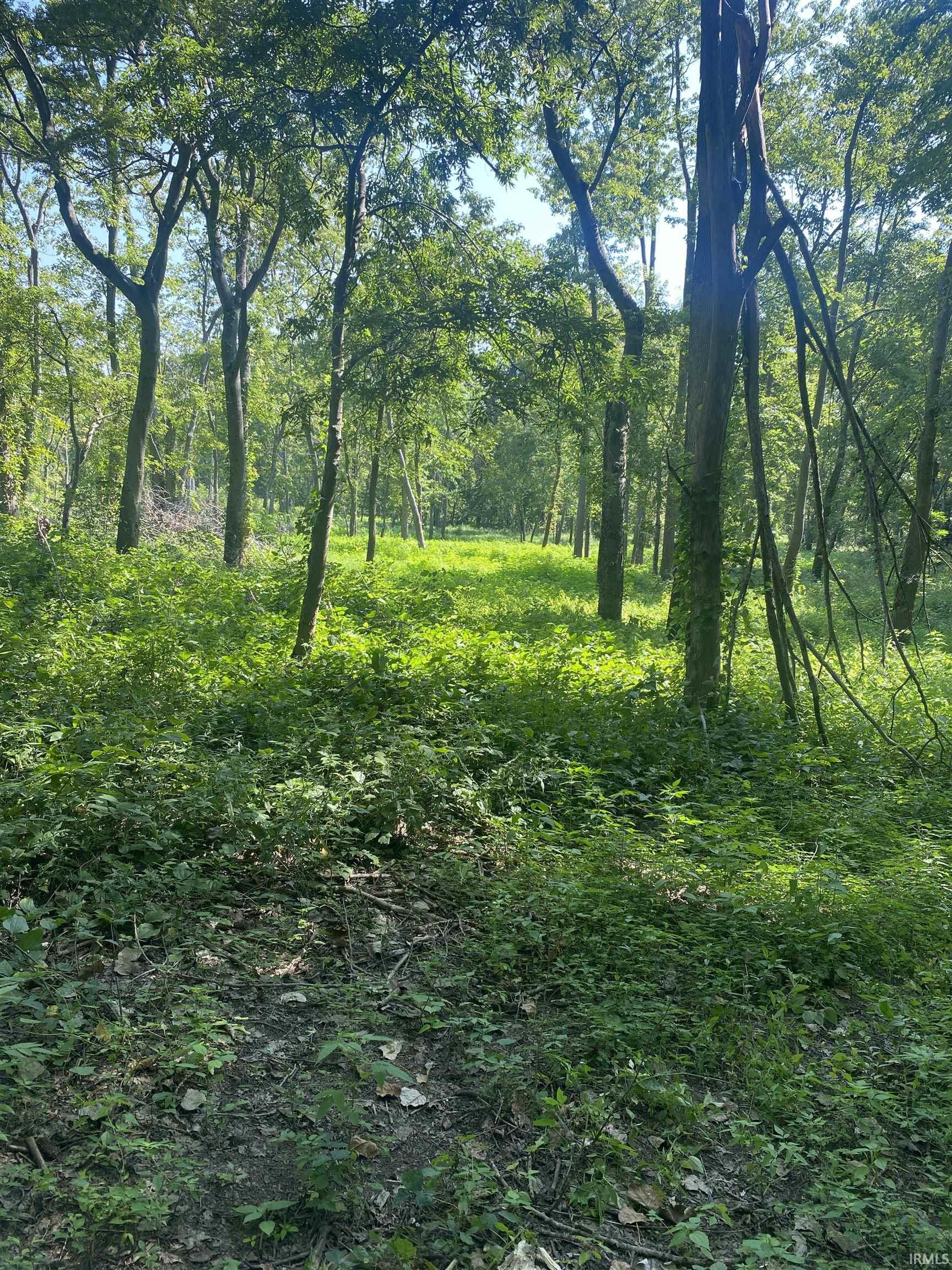 1850 South W Road Griffin, IN 47616 - Photo 12 of 36