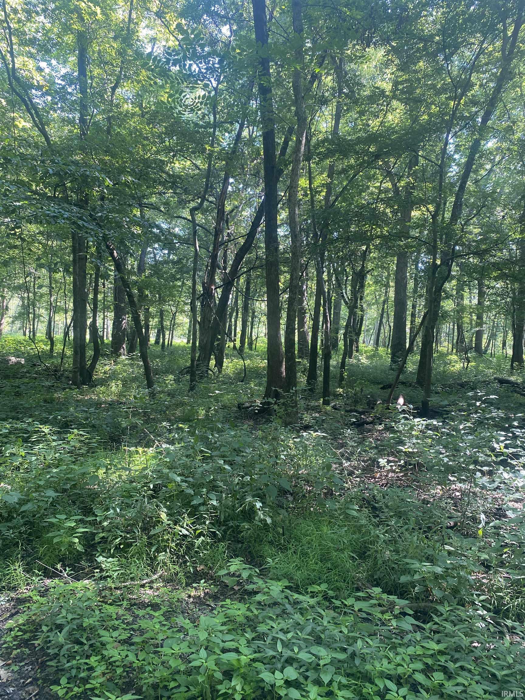 1850 South W Road Griffin, IN 47616 - Photo 13 of 36