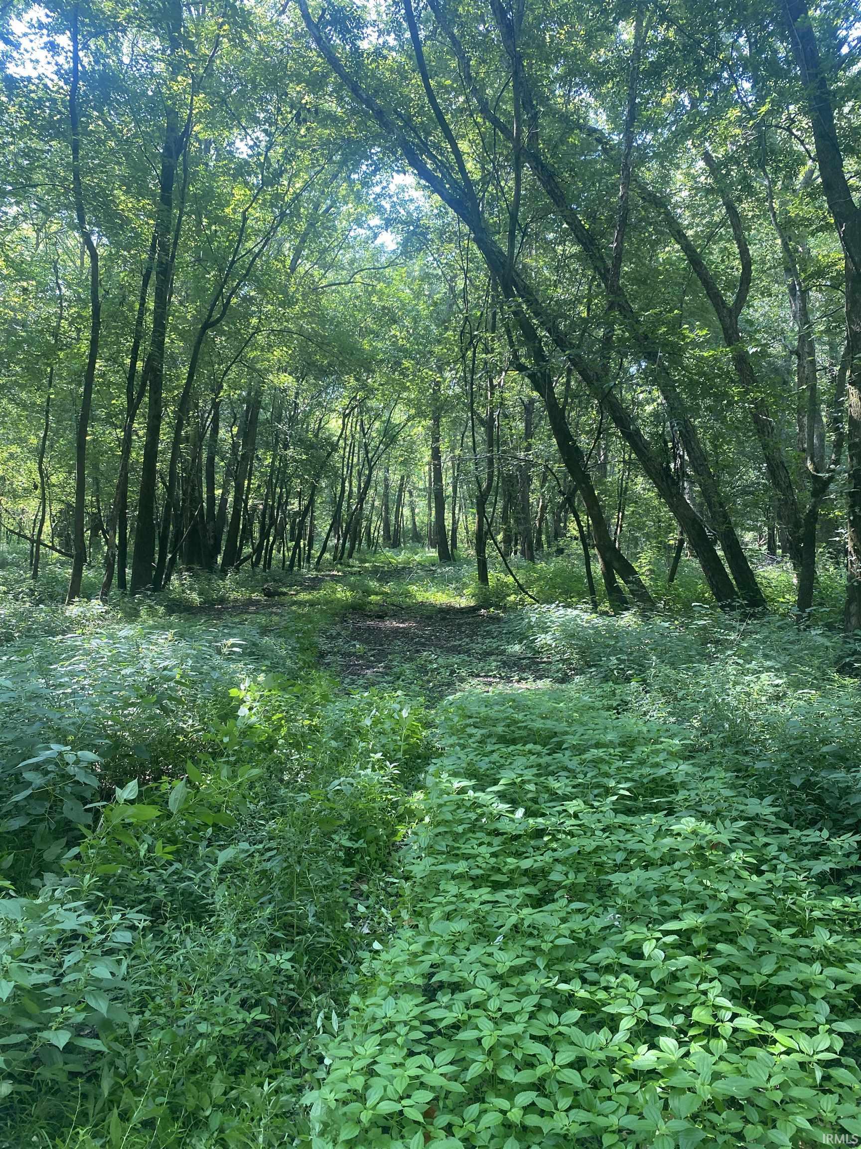 1850 South W Road Griffin, IN 47616 - Photo 14 of 36