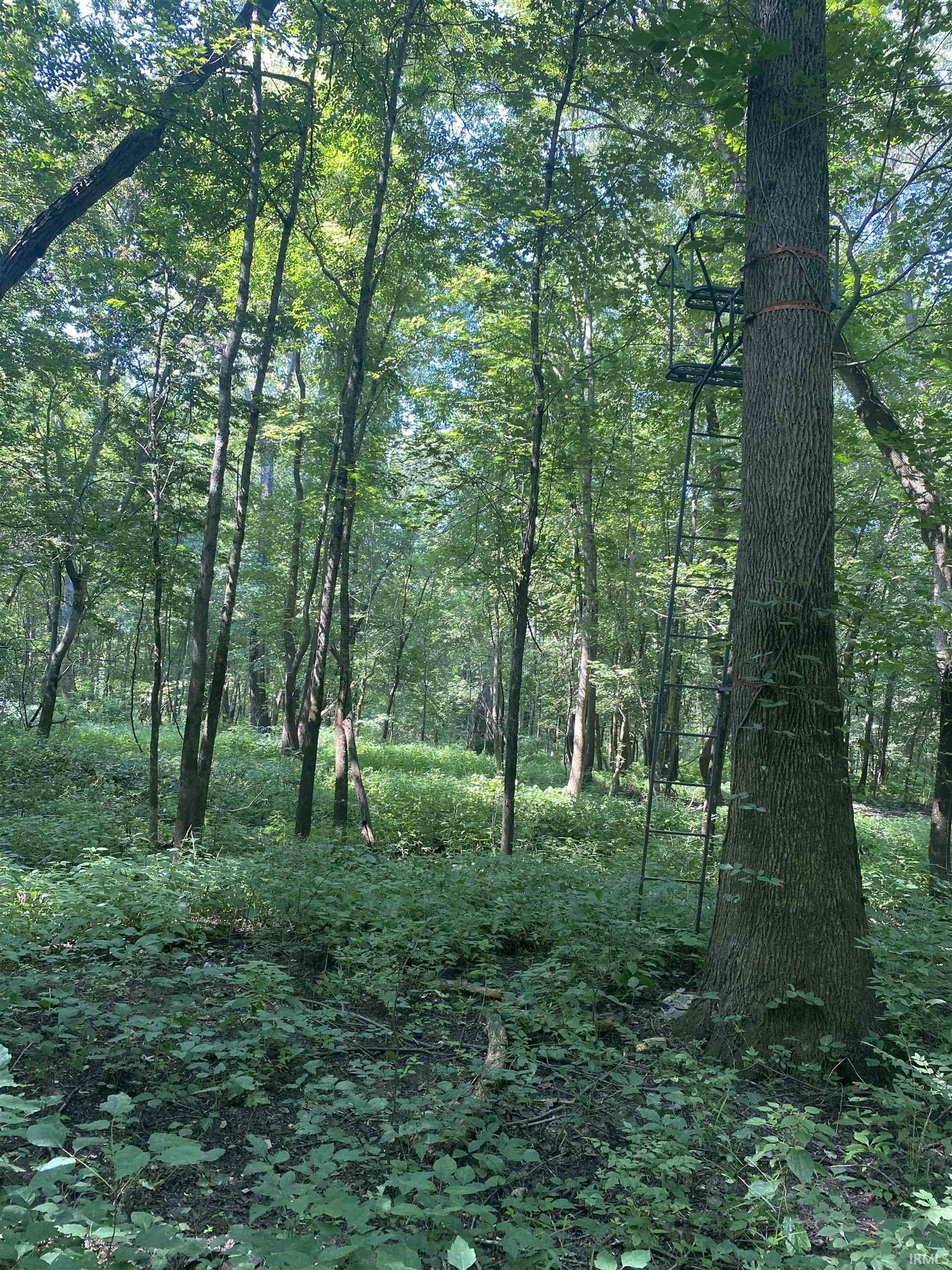 1850 South W Road Griffin, IN 47616 - Photo 15 of 36