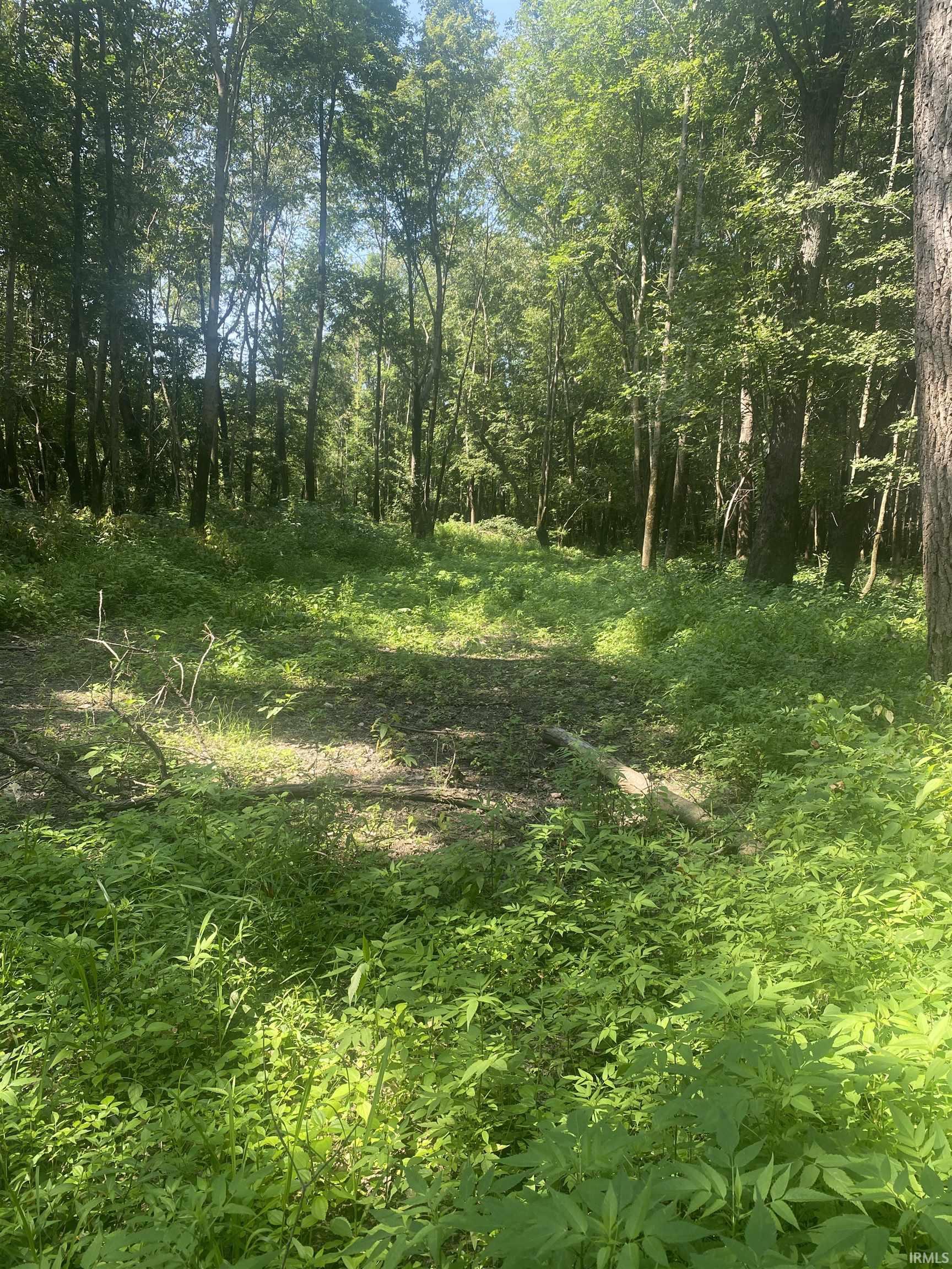 1850 South W Road Griffin, IN 47616 - Photo 16 of 36