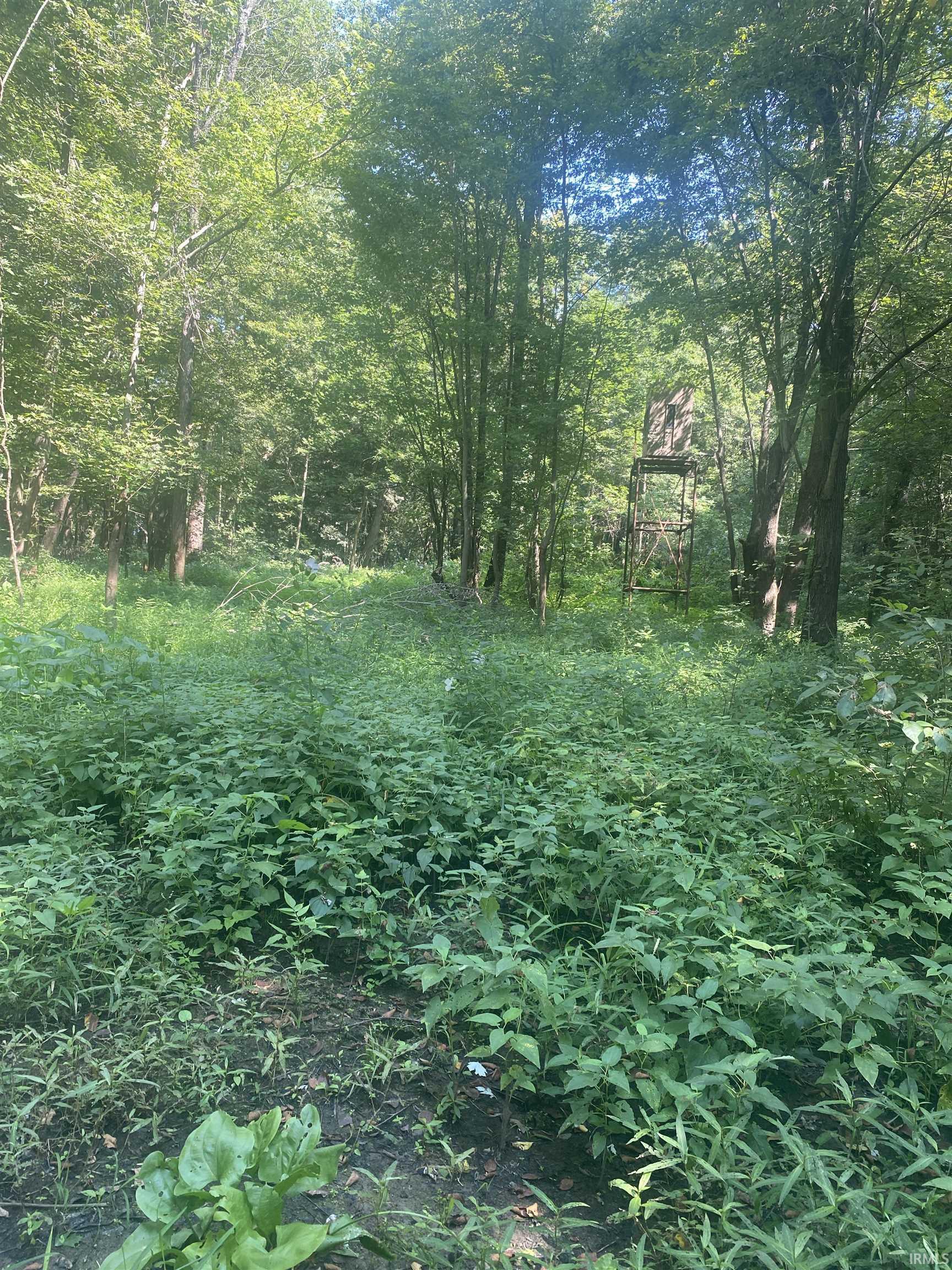 1850 South W Road Griffin, IN 47616 - Photo 17 of 36