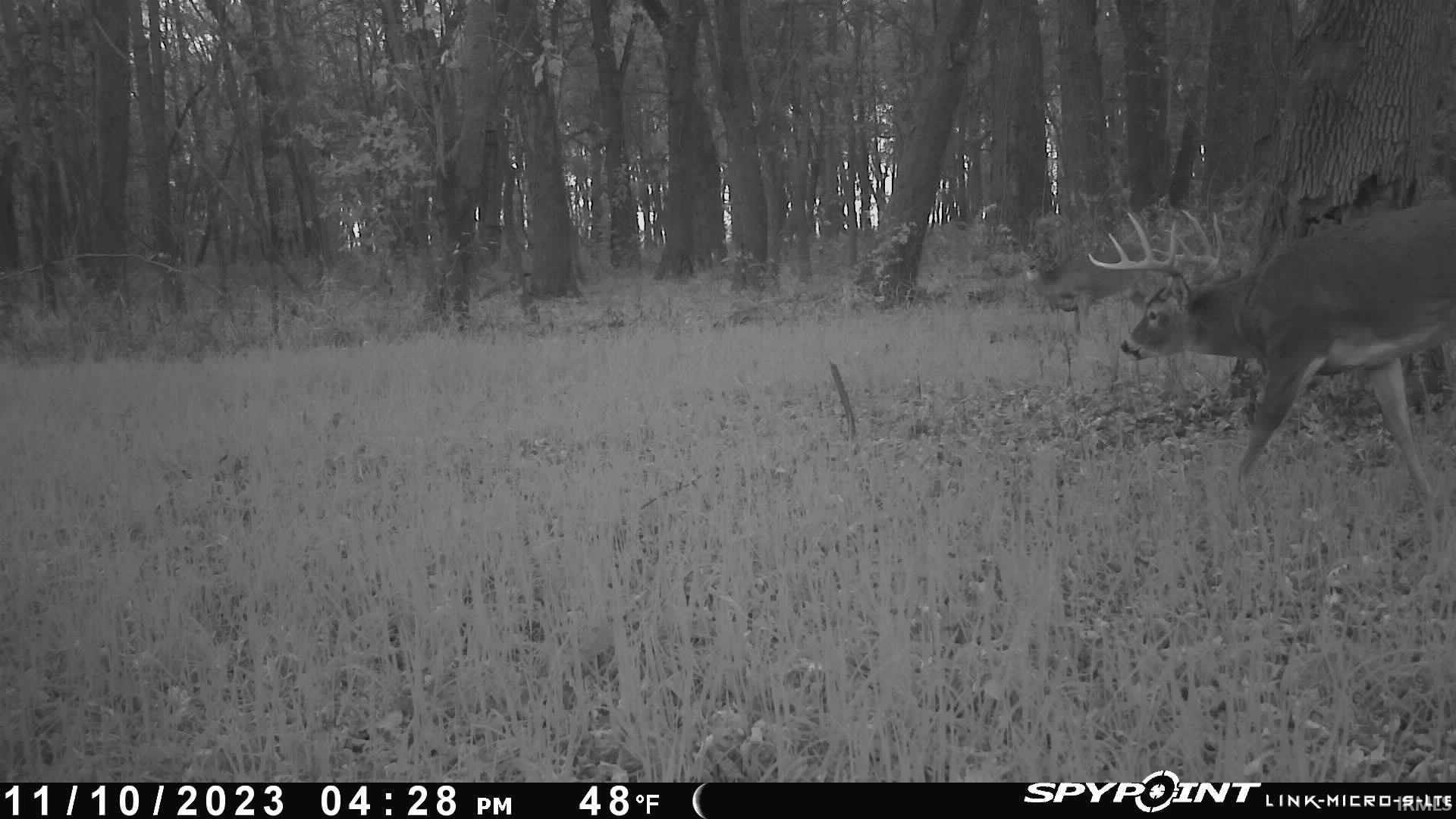 1850 South W Road Griffin, IN 47616 - Photo 18 of 36