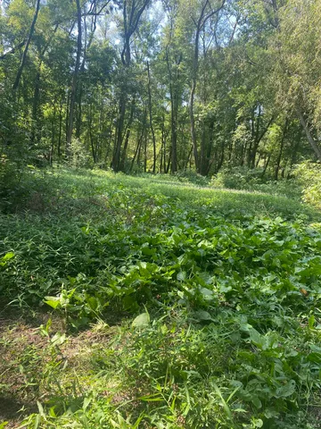 $300,000 | 1850 South W Road, Griffin, IN 47616