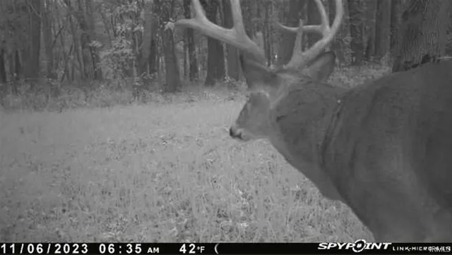 $300,000 | 1850 South W Road, Griffin, IN 47616