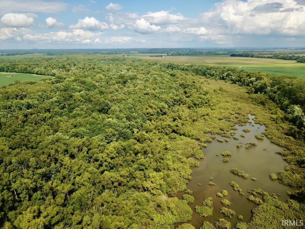 1850 South W Road Griffin, IN 47616 - Photo 23 of 36