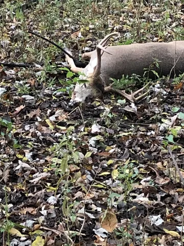 $300,000 | 1850 South W Road, Griffin, IN 47616