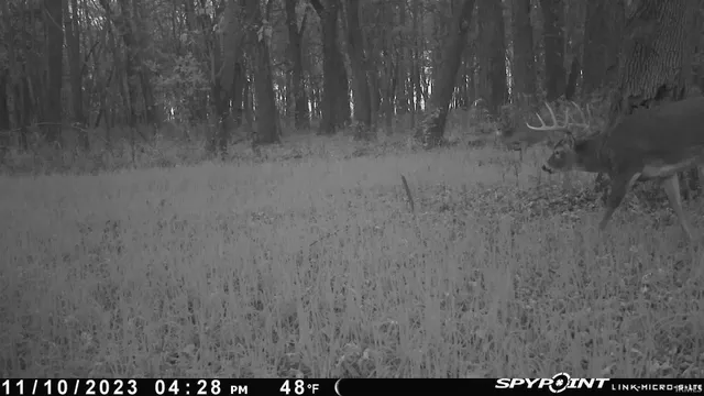 $300,000 | 1850 South W Road, Griffin, IN 47616