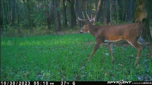 $300,000 | 1850 South W Road, Griffin, IN 47616