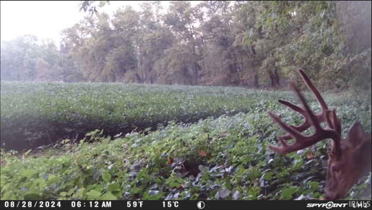 1850 South W Road Griffin, IN 47616 - Photo 26 of 36