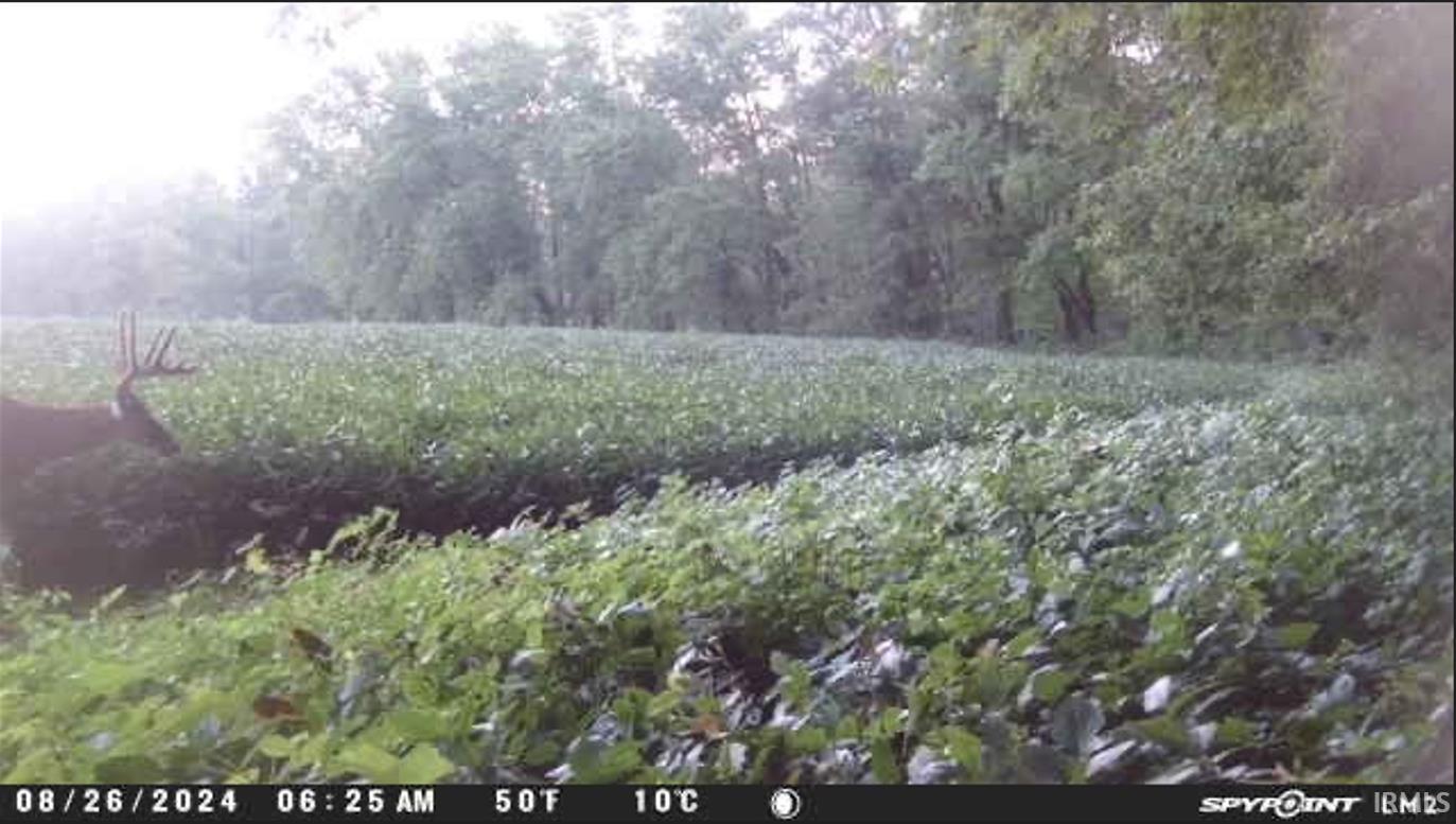 1850 South W Road Griffin, IN 47616 - Photo 27 of 36