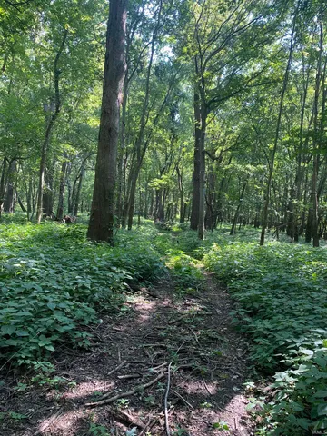 $300,000 | 1850 South W Road, Griffin, IN 47616