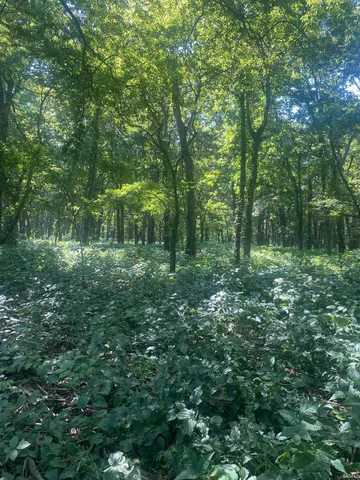 $300,000 | 1850 South W Road, Griffin, IN 47616