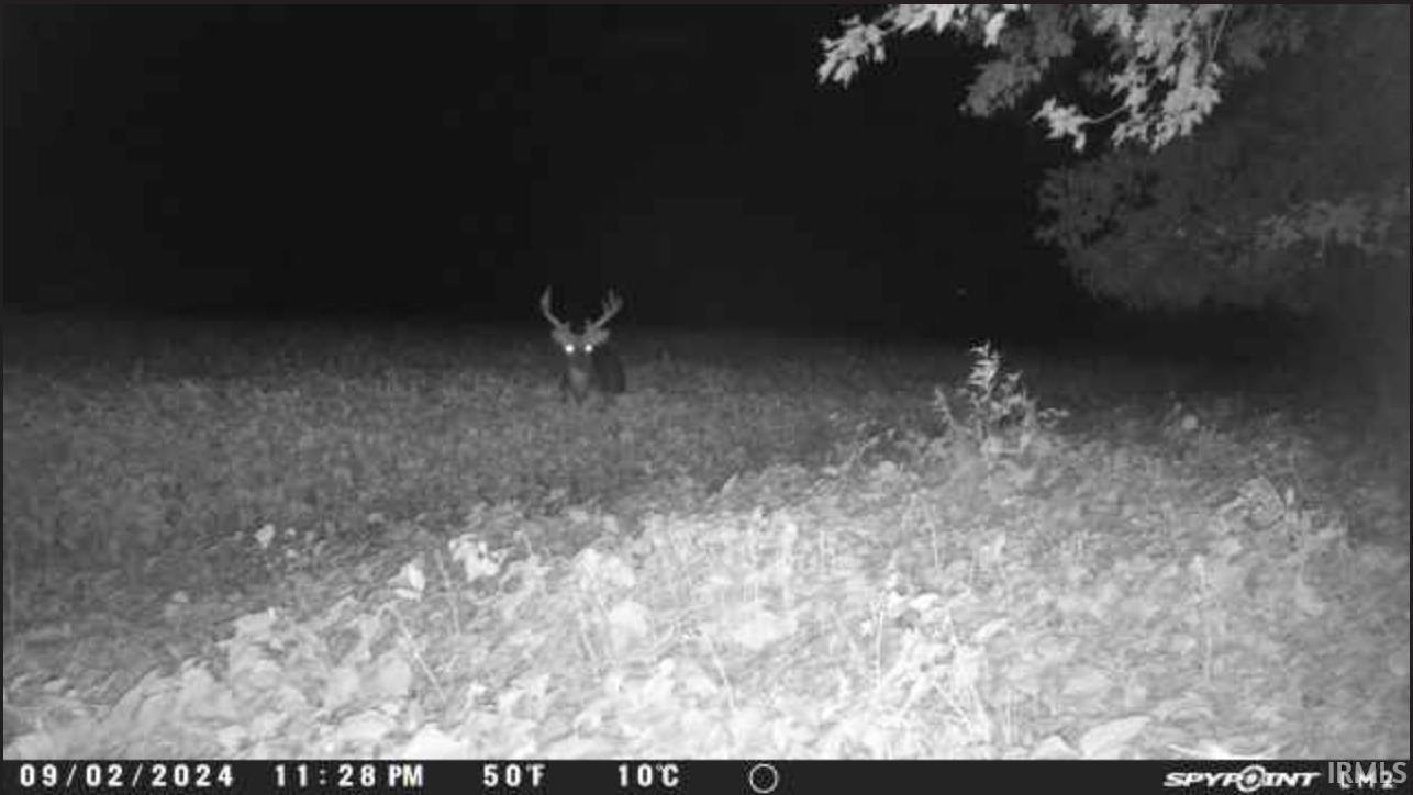 1850 South W Road Griffin, IN 47616 - Photo 28 of 36