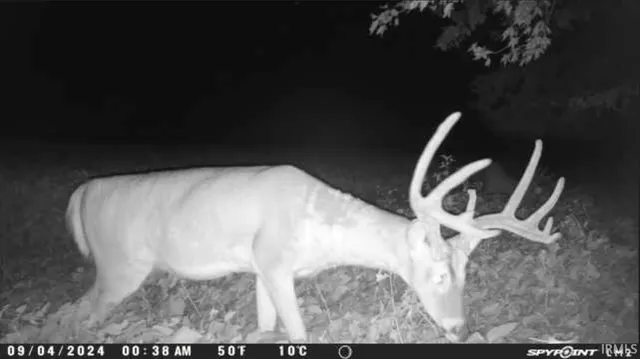 $300,000 | 1850 South W Road, Griffin, IN 47616