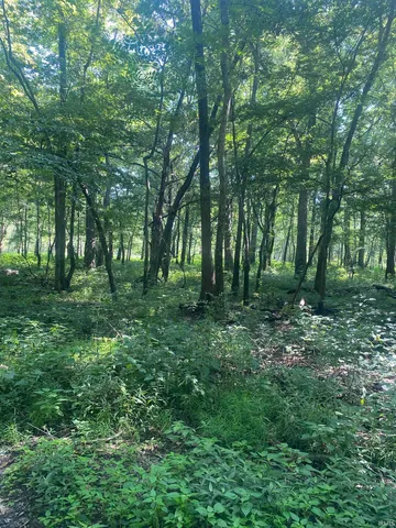 $300,000 | 1850 South W Road, Griffin, IN 47616