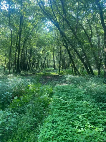 $300,000 | 1850 South W Road, Griffin, IN 47616