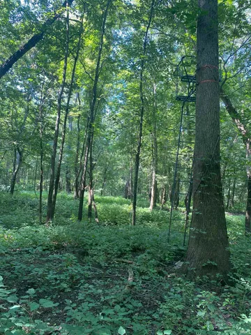 $300,000 | 1850 South W Road, Griffin, IN 47616