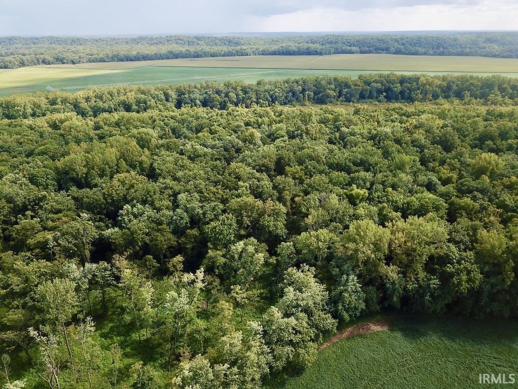 1850 South W Road Griffin, IN 47616 - Photo 35 of 36