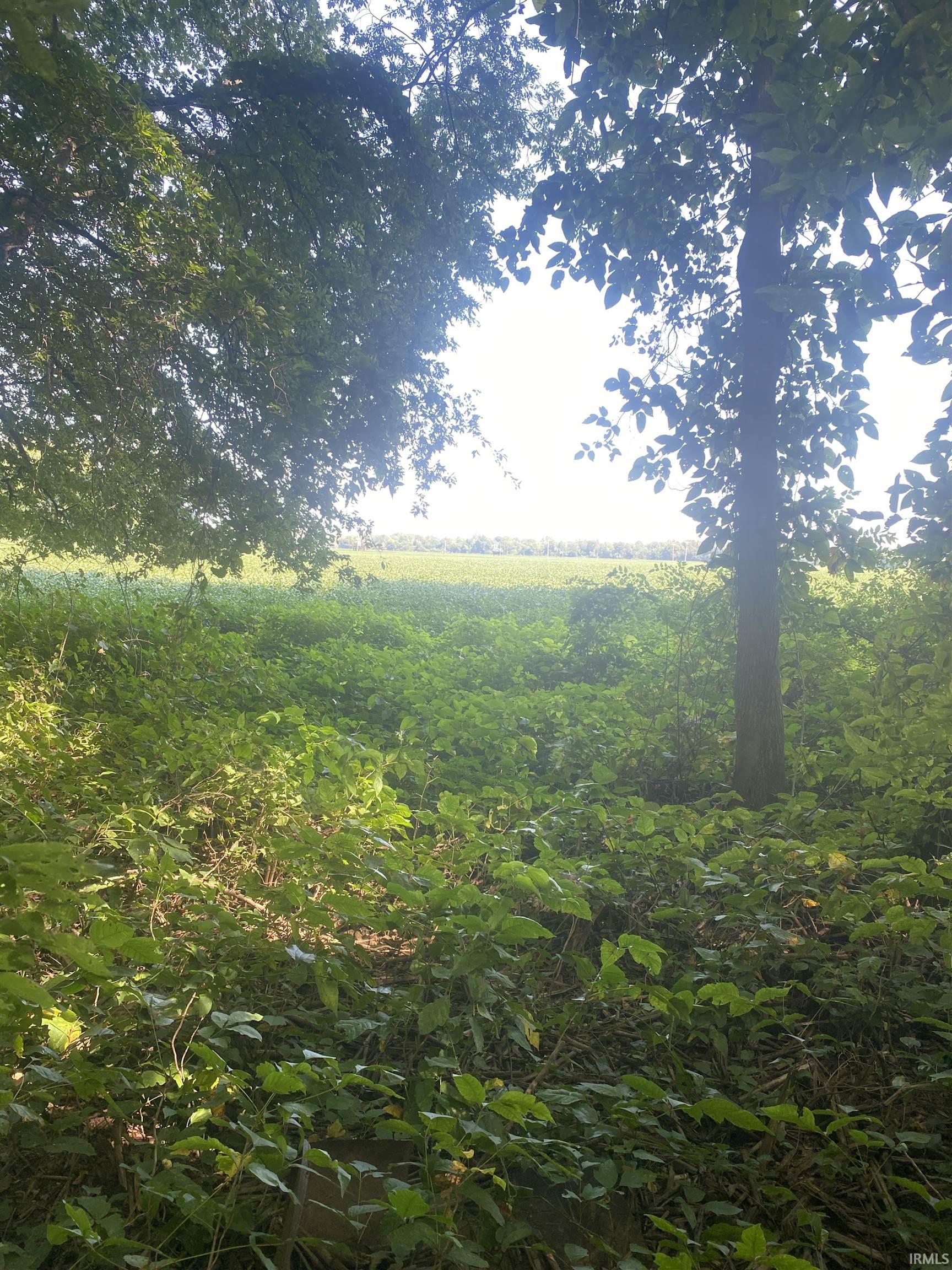 1850 South W Road Griffin, IN 47616 - Photo 4 of 36