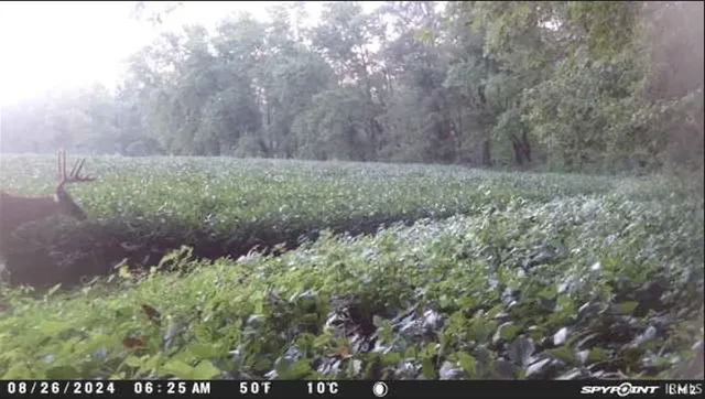 $300,000 | 1850 South W Road, Griffin, IN 47616