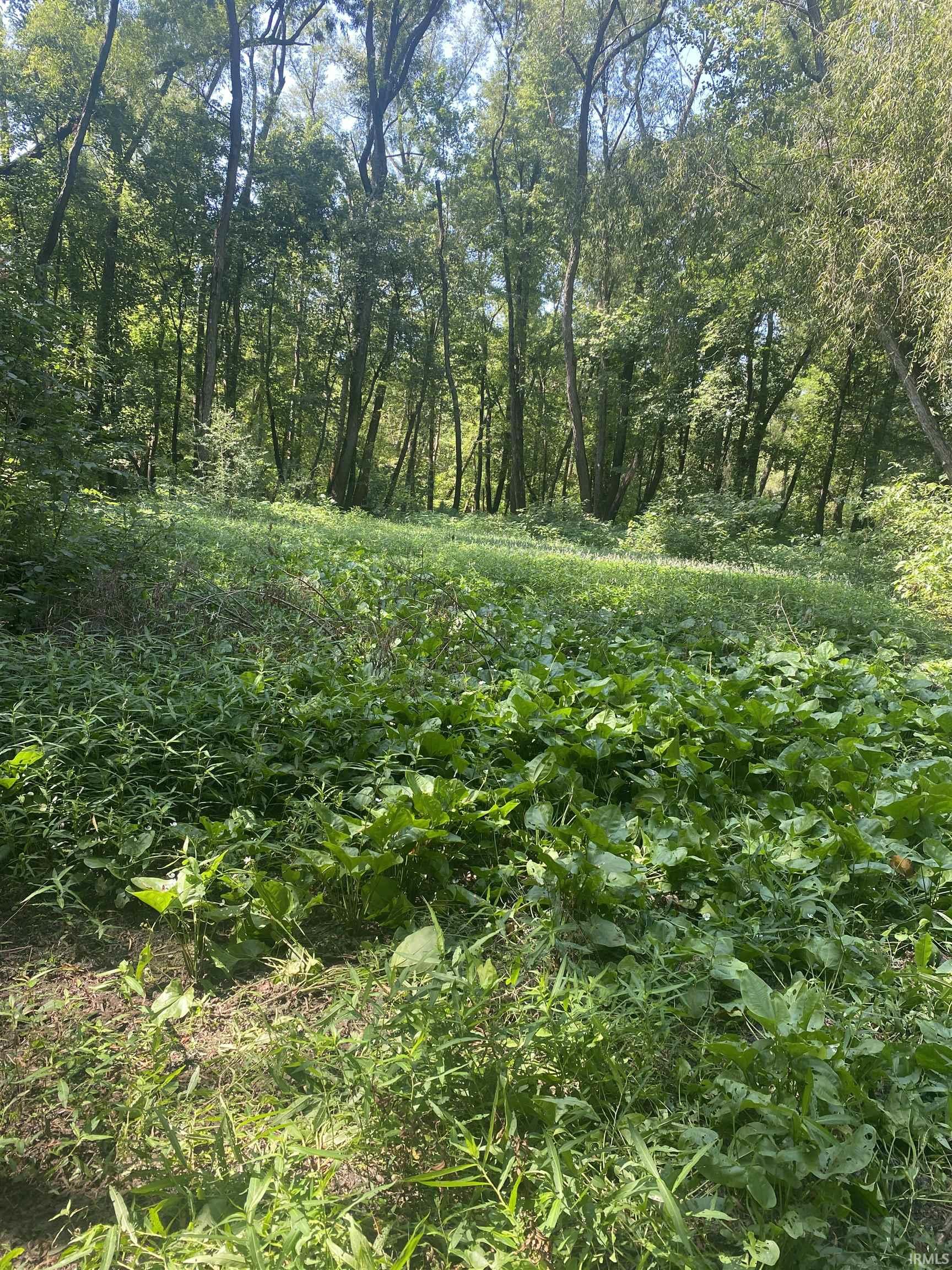 1850 South W Road Griffin, IN 47616 - Photo 6 of 36