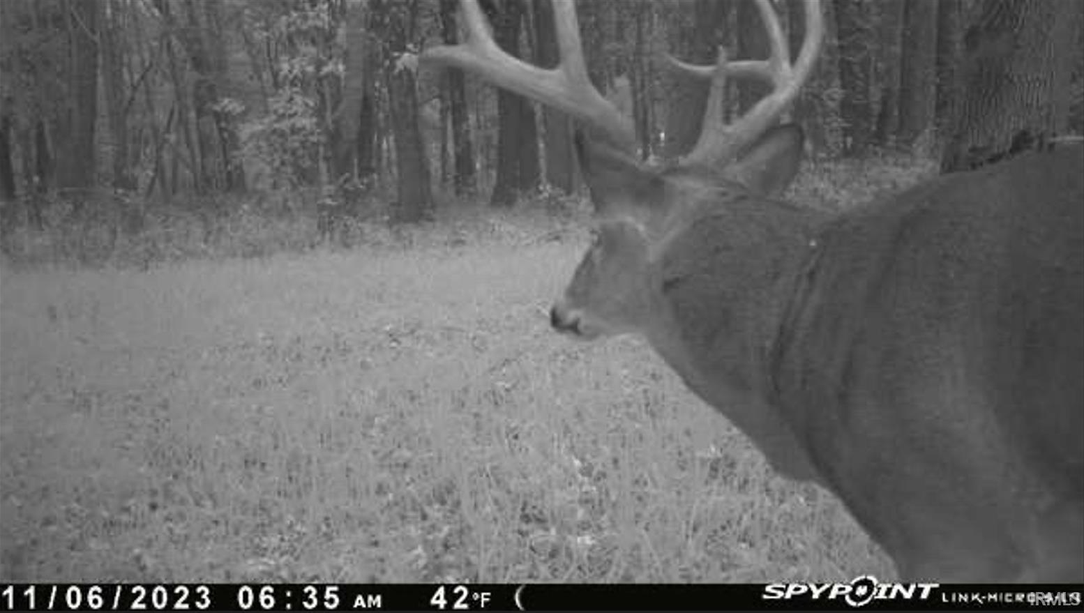 1850 South W Road Griffin, IN 47616 - Photo 7 of 36