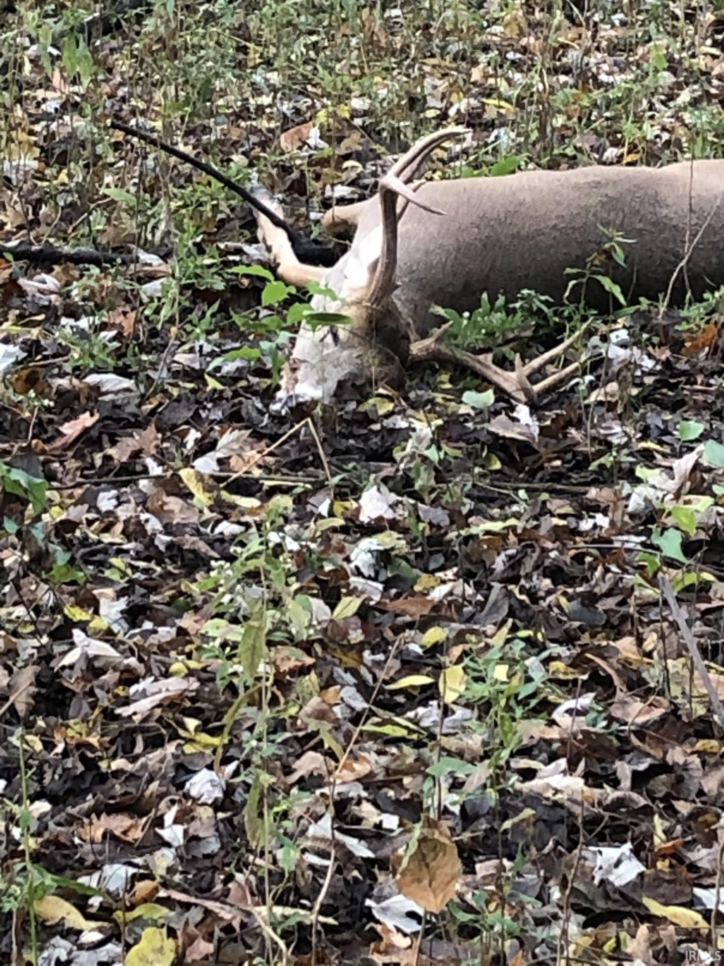 1850 South W Road Griffin, IN 47616 - Photo 9 of 36