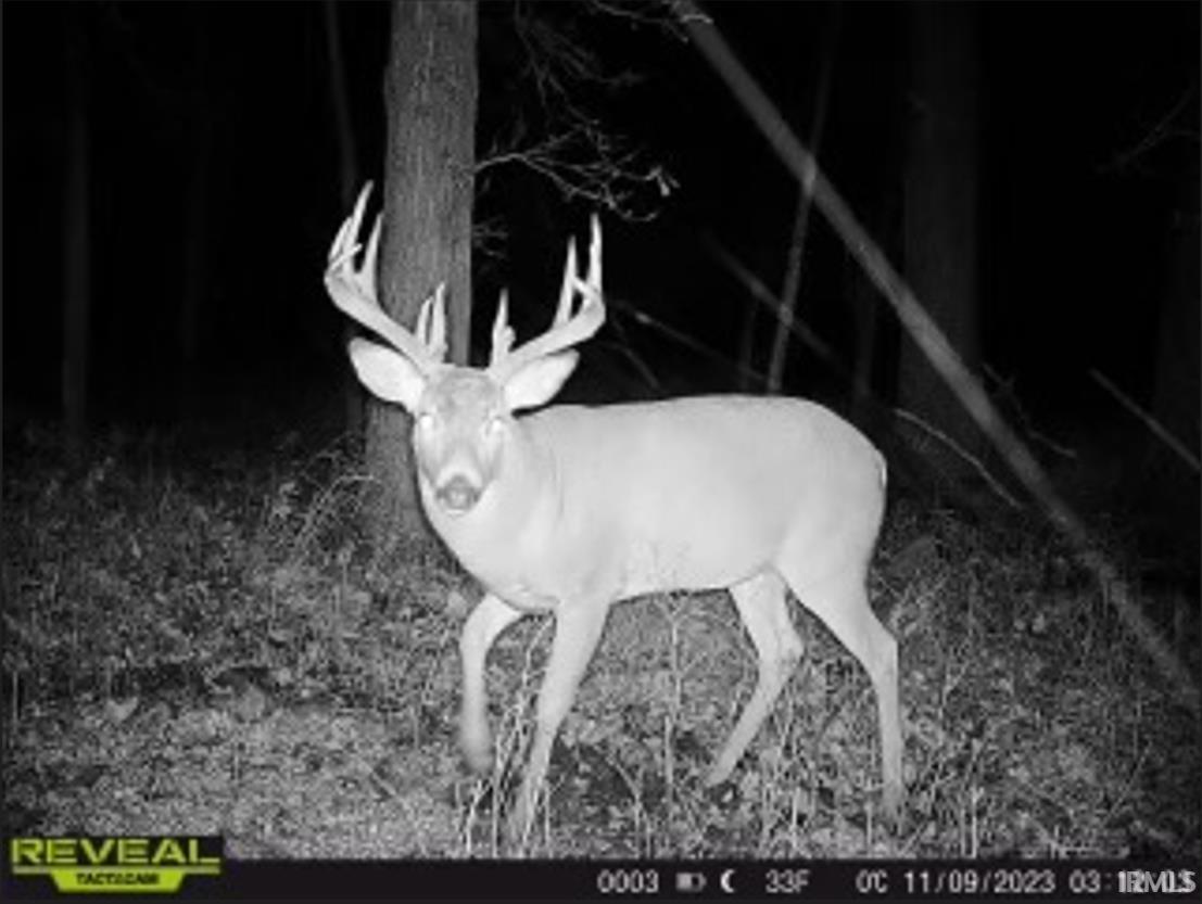 1850 South W Road Griffin, IN 47616 - Photo 10 of 36