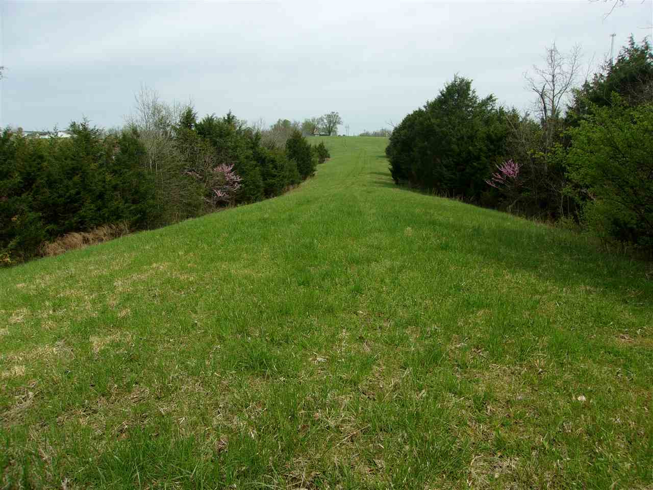 2473 Salem Ridge Road Brooksville, KY 41004 - Photo 10 of 48 Gallery Image 10