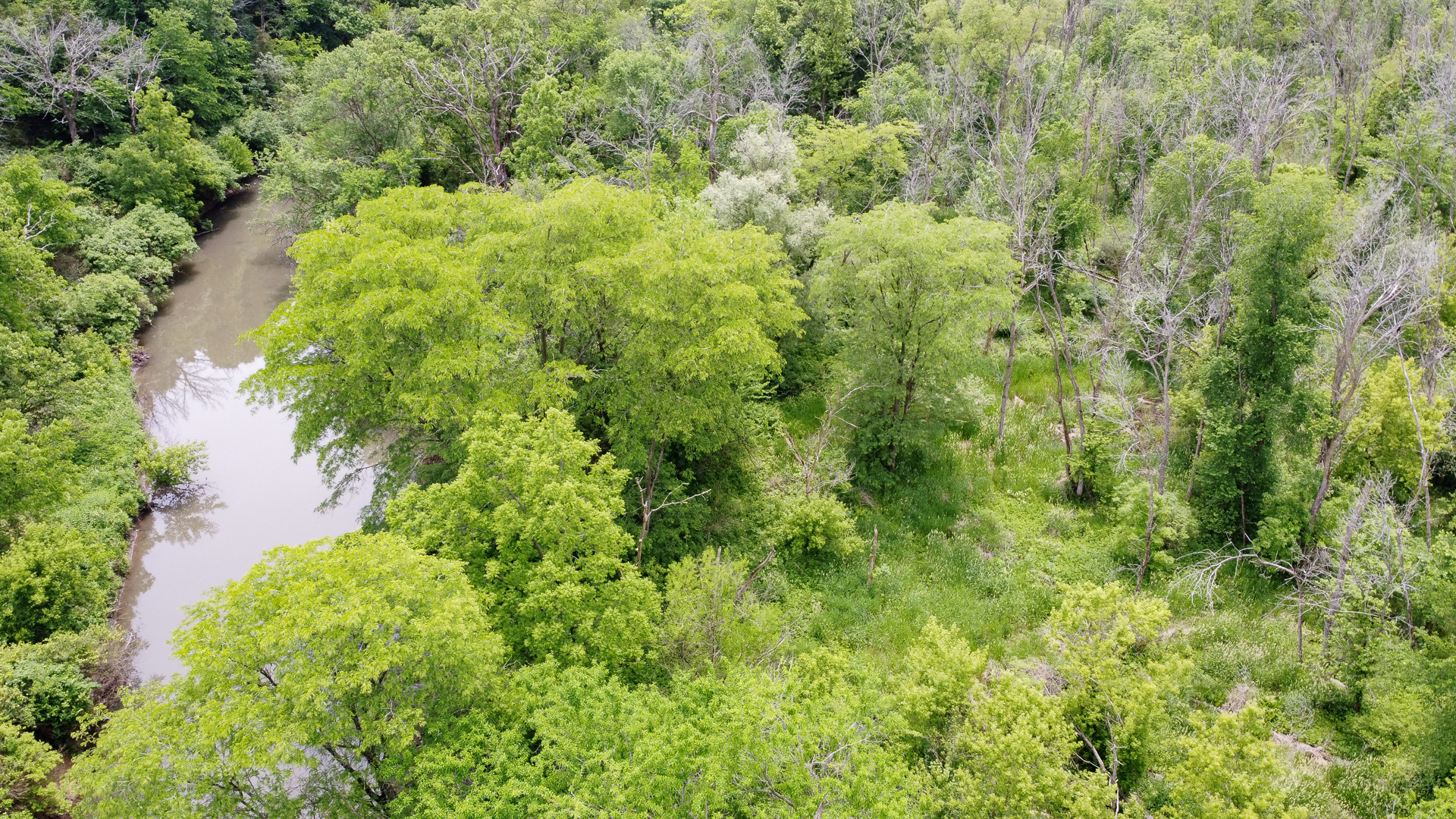 0 449th Road LaSalle, IL 61301 - Photo 9 of 12 a view of a lush green forest with lots of trees