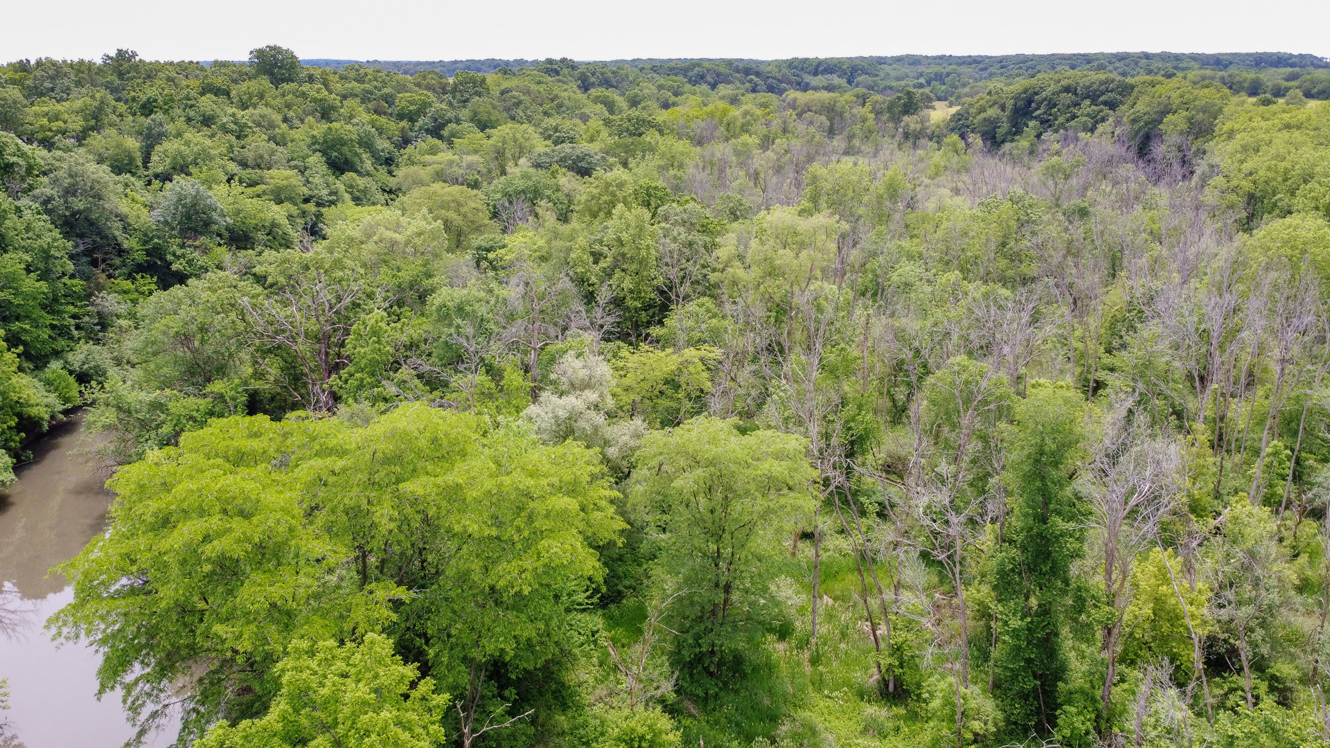 0 449th Road LaSalle, IL 61301 - Photo 10 of 12 a view of a forest with a street