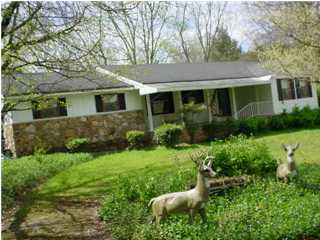 362 Old Mill Road Ringgold, GA 30736 - Photo 1 of 3 Primary Photo